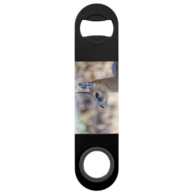 Klipspringer Portrait Bar Key (Back)