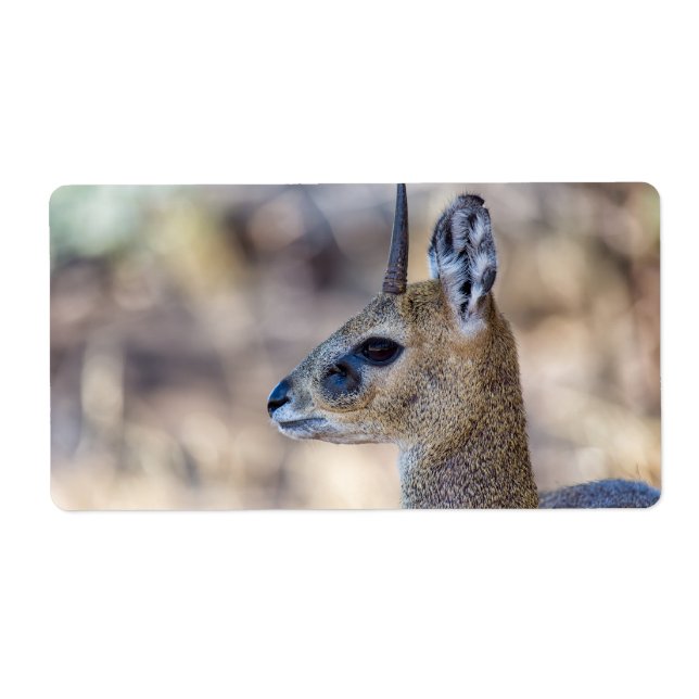 Klipspringer Portrait Label (Front)