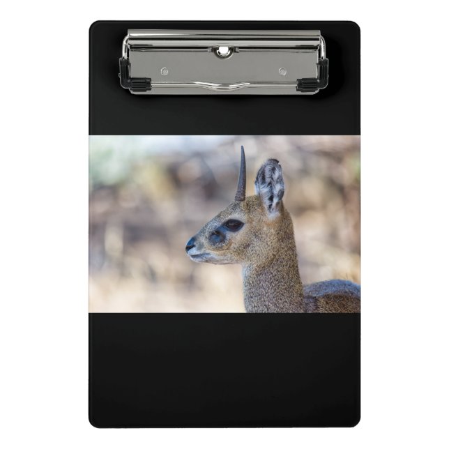 Klipspringer Portrait Mini Clipboard (Front)