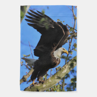 KMCPHOTO adult and fledgling Bald Eagle Flag