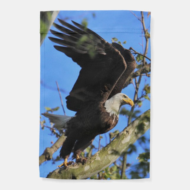 KMCPHOTO adult and fledgling Bald Eagle Flag (Back)