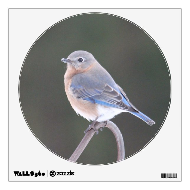 KMCphoto Bluebird Decal (Front)