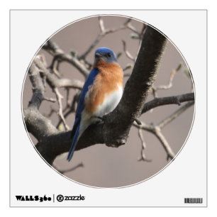 KMCphoto Bluebird Walld Decal