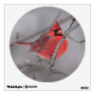 KMCphoto Cardinal Decal