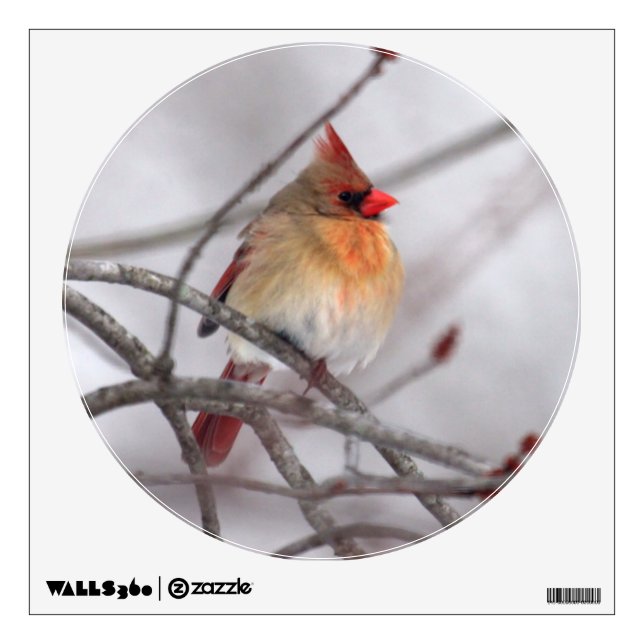 KMCphoto Wall Decal (Front)