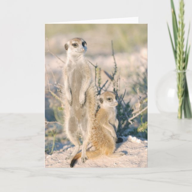 KMP Card 16 - Babysitting Nugget Busta (Front)