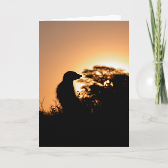 KMP Card 5 - Flava Flav sunset (Front)
