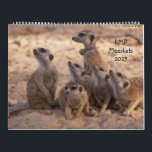 KMP Meerkat 2025 Calendar<br><div class="desc">Let the meerkats accompany you throughout the coming year! The Kalahari Meerkat Project (KMP) researchers, volunteers and Friends visitors once again contribute their beautiful and endearing photos for the 2025 calendar. Adorable pups, meerkats in action and familiar mobs and individuals grace the pages. See the back of the calendar for...</div>