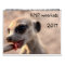 KMP Meerkats - 2017 Calendar