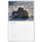 KMP Meerkats - 2018 Calendar