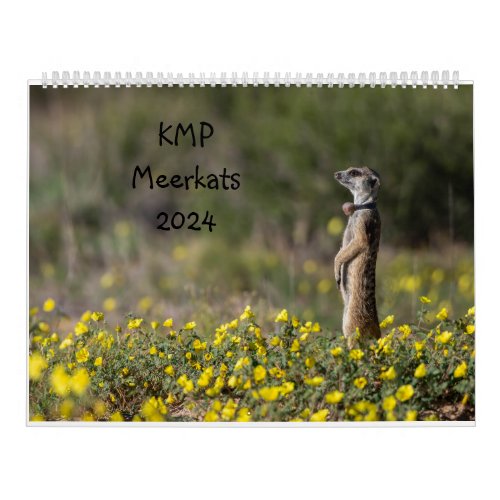 KMP Meerkats Calendar 2024