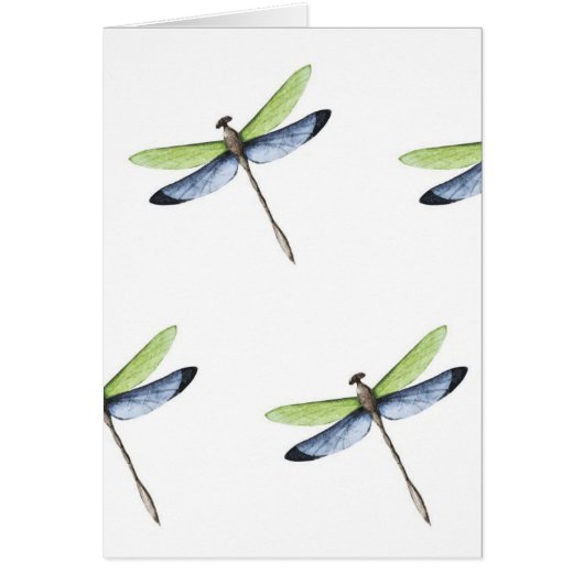KN Dragonfly Card (Front)