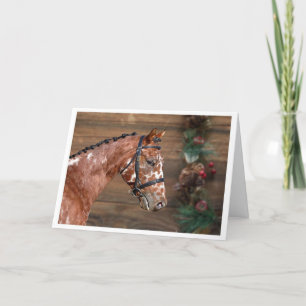 Knabstrupper Stallion Horse Christmas Holiday Card