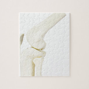 Knee joint model of human leg jigsaw puzzle