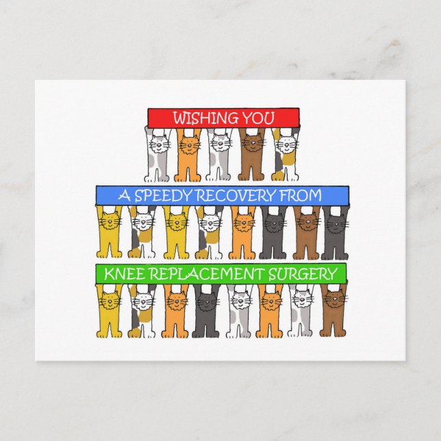 Knee Replacement Surgery Recovery Cute Cats Postcard (Front)