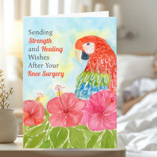 Knee Surgery Healing with Scarlet Macaws, Hibiscus Card