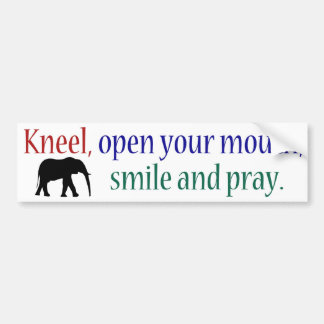 Kneel WFE Color Bumper Sticker