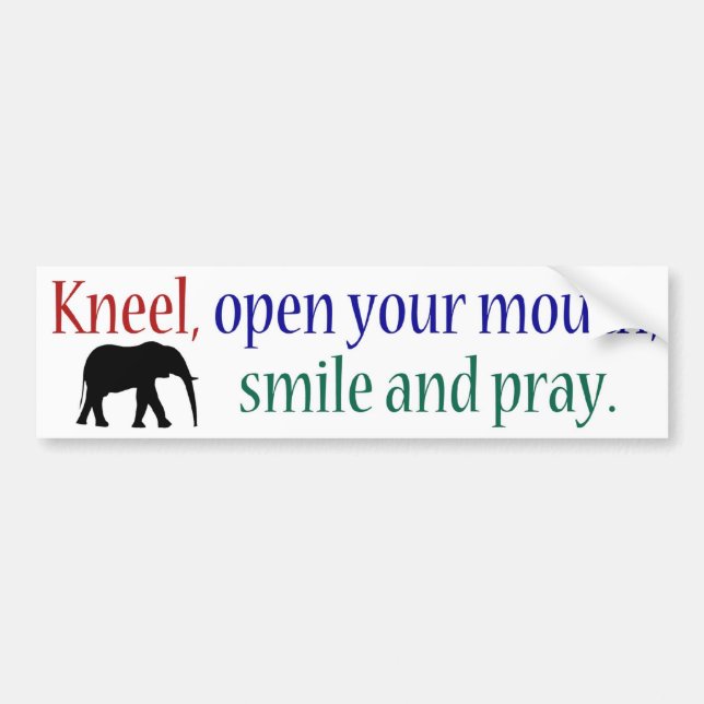 Kneel WFE Color Bumper Sticker (Front)