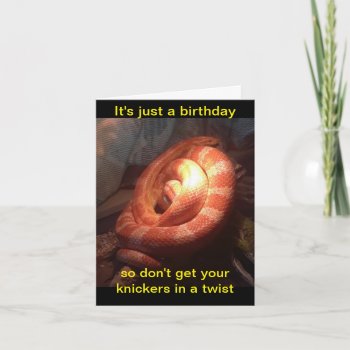 Knickers In A Twist Birthday Snake Greeting Card by busycrowstudio at Zazzle