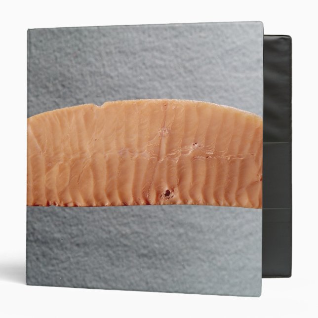 Knife blade binder (Front/Inside)