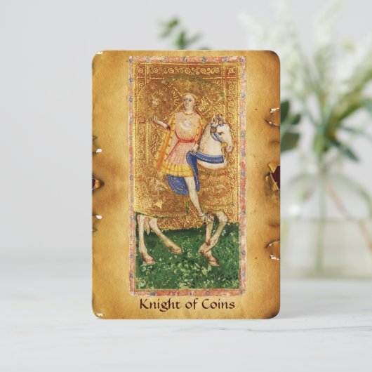 Knight of Coins (Standing Front)