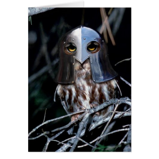 Knight Owl Cards (Front)