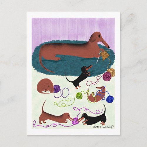 Knitting Dachshund Postcard