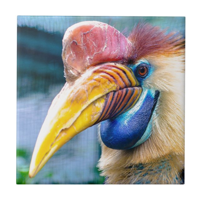 Knobbed Hornbill Ceramic Tile (Front)
