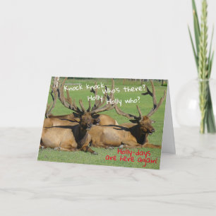Knock Knock Holly-days - Card