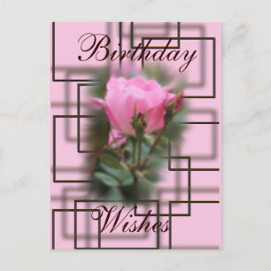 Knockout Rose & Chocolate Postcard- customize it Postcard