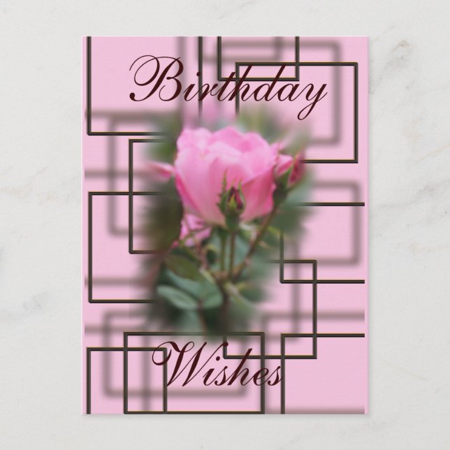 Knockout Rose & Chocolate Postcard- customize it Postcard (Front)