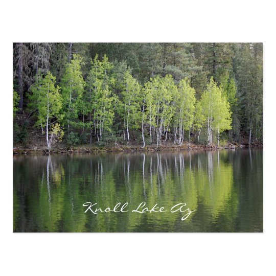 Knoll Lake Arizona Postcard Zazzle