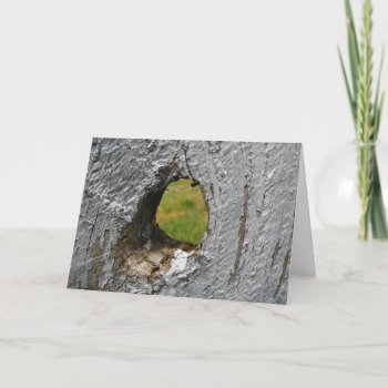 Knot Hole Card by Artnmore at Zazzle