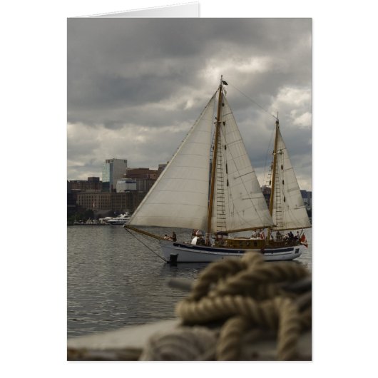 Knotical Sailing Cards (Front)