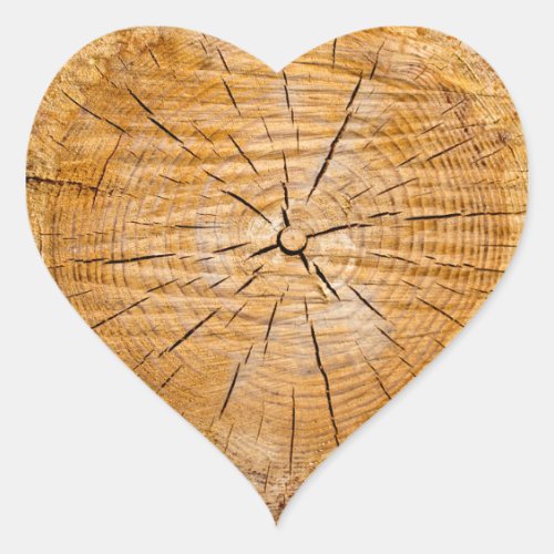 Knotty Wood Slice of Life Heart Sticker