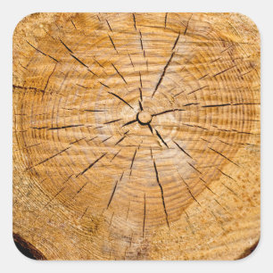 Knotty Wood Slice of Life Square Sticker
