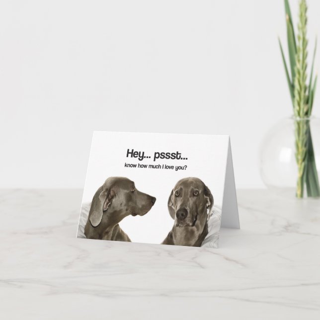 Know How Much I Love You? (Weimaraner) Card (Front)