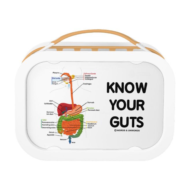 Know Your Guts (Digestive System Anatomical Humor) Lunch Box (Back)