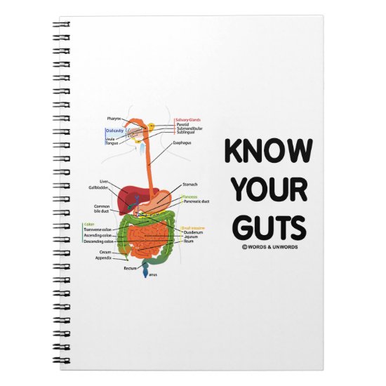 Know Your Guts (Digestive System Anatomical Humor) Notebook
