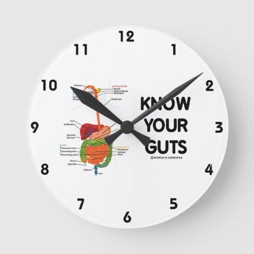 Know Your Guts Digestive System Anatomical Humor Round Clock