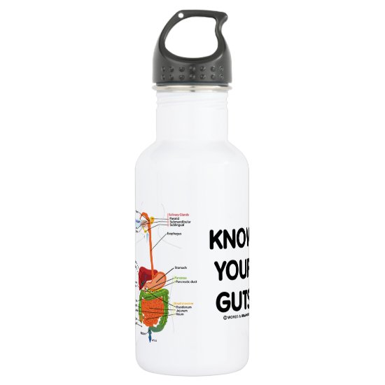 Know Your Guts (Digestive System Anatomical Humor) Water Bottle
