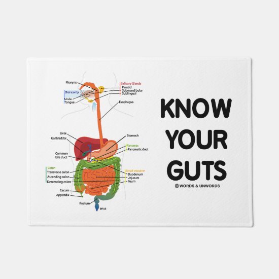 Know Your Guts Digestive System Geek Humor Doormat