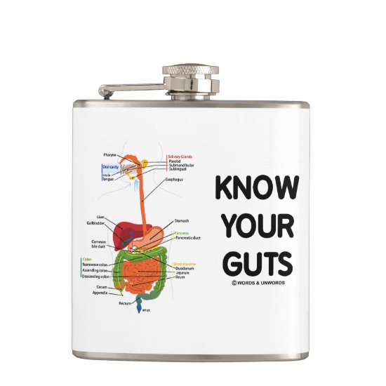 Know Your Guts Digestive System Geek Humor Flask