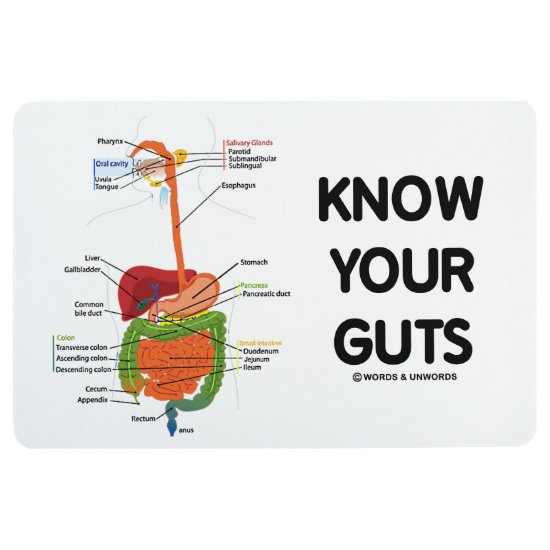 Know Your Guts Digestive System Geek Humor Floor Mat