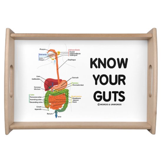 Know Your Guts Digestive System Geek Humor Serving Tray