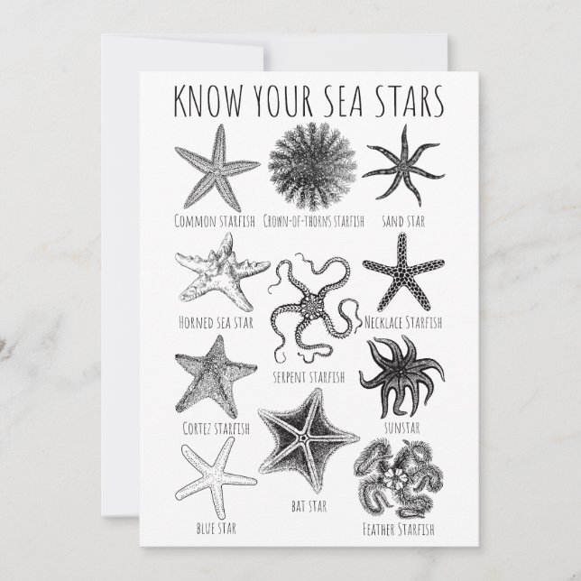 Know Your Sea Stars – Starfish Groups Invitation (Front)