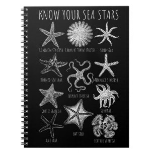Know Your Sea Stars – Starfish Groups Notebook
