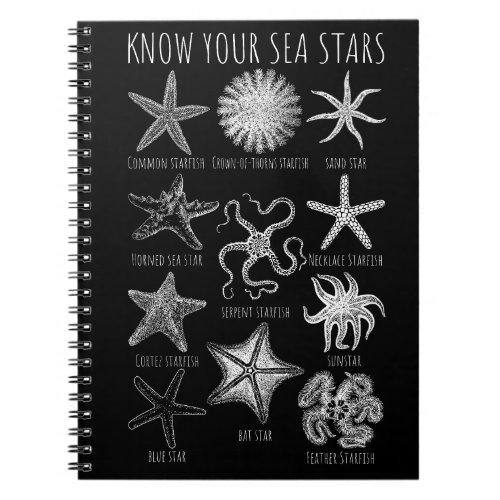 Know Your Sea Stars  Starfish Groups Notebook