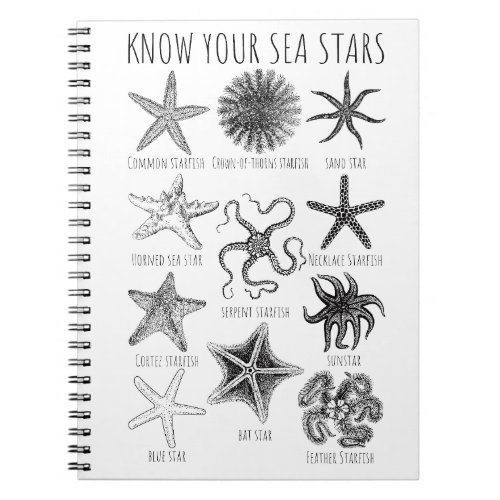 Know Your Sea Stars  Starfish Groups Notebook