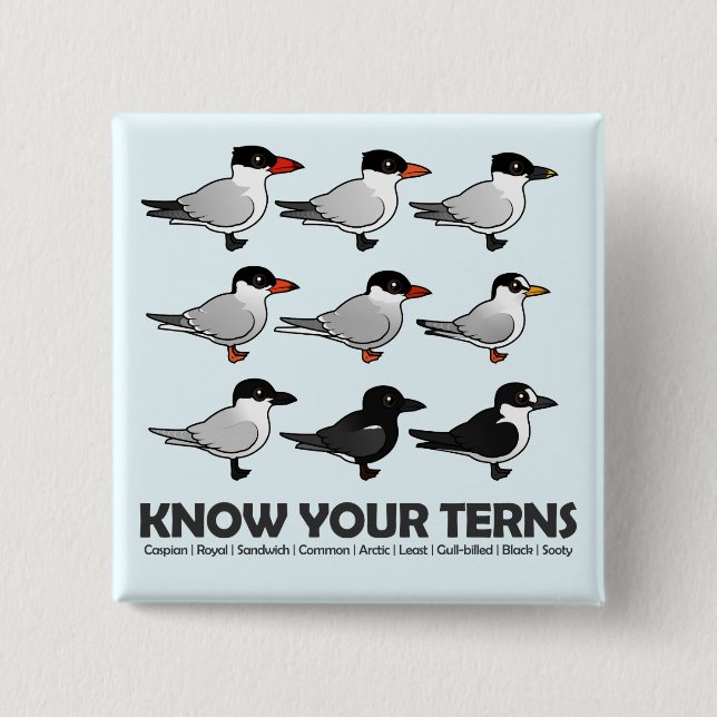Know Your Terns Button (Front)